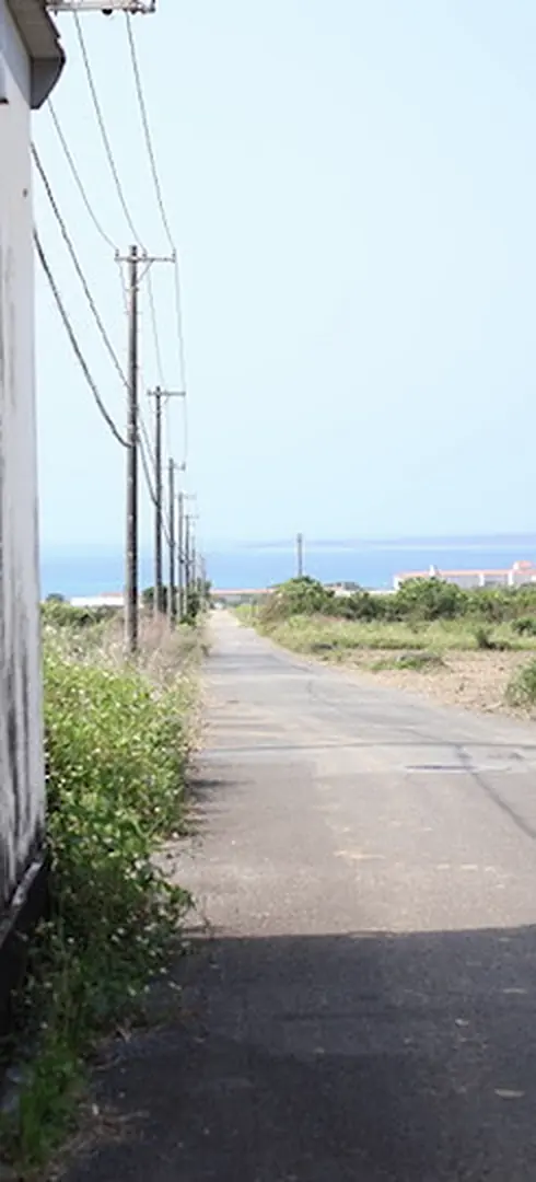 電柱が並ぶ、海へ向かうまっすぐな道